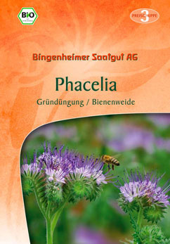 Bienenfreund (Phacelia)