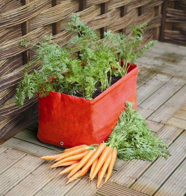 Karotten-Pflanztasche