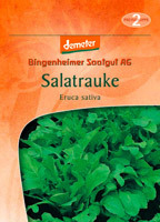 Salat-Rauke